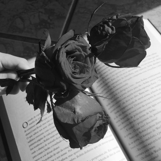 roses
