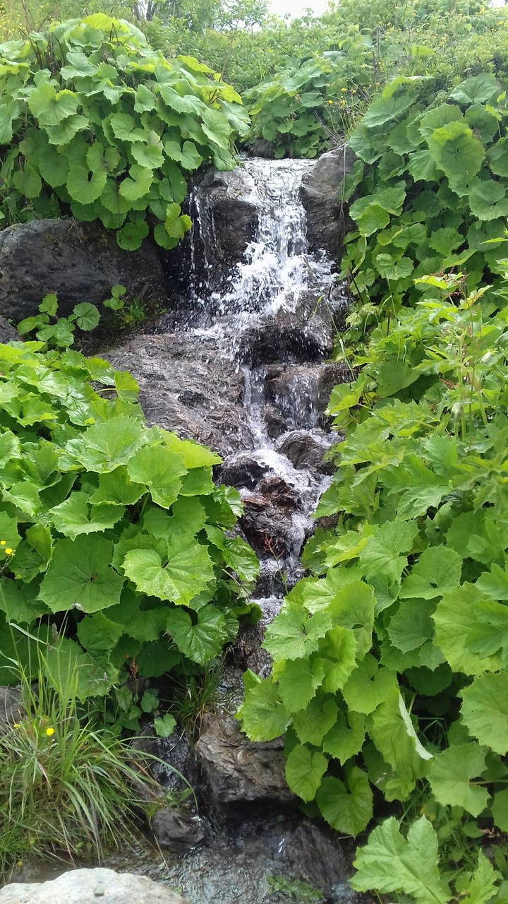 Little Waterfall