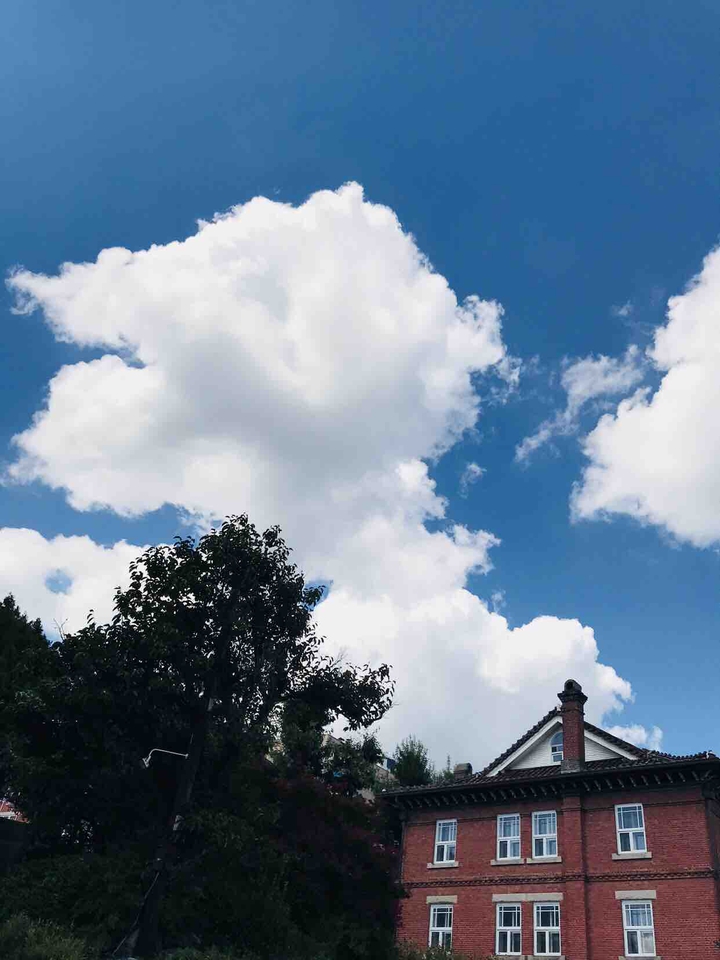 있지