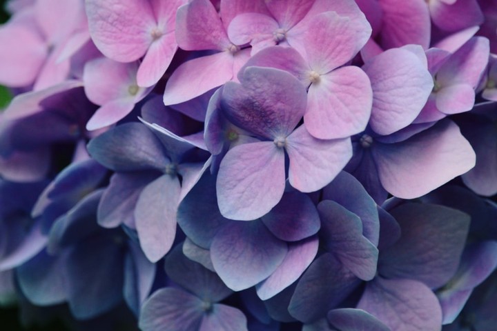 beautiful wallpaper....
