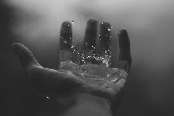 water on palm