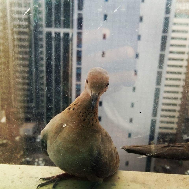 looking at me