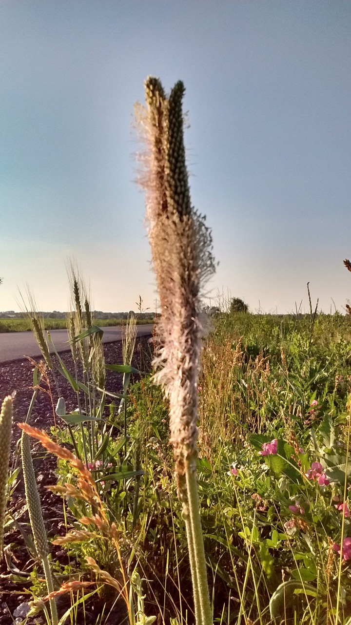 #Україна #літо #summer #краса