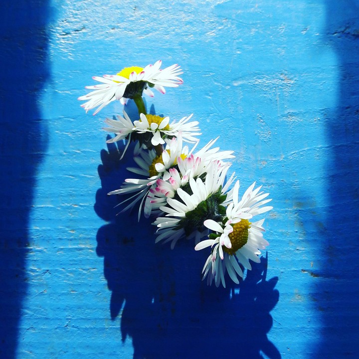 Summer Day