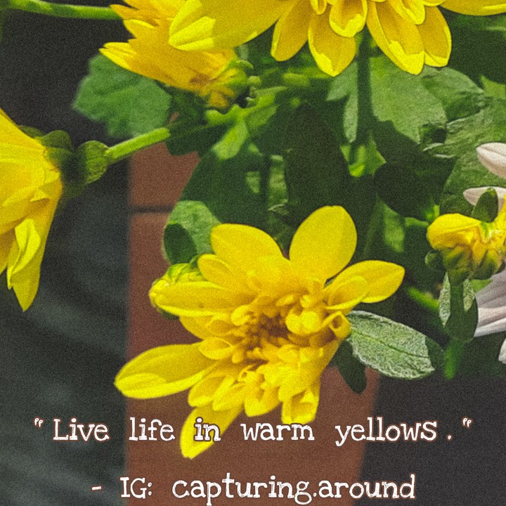Quote