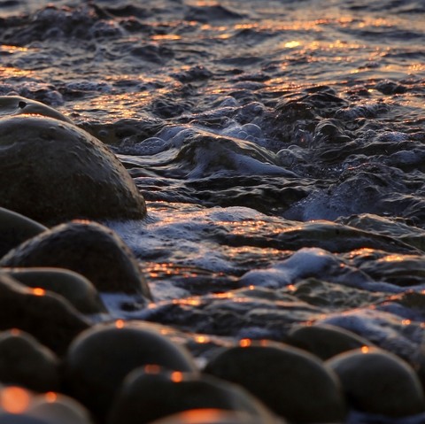 The Capture Of The Light