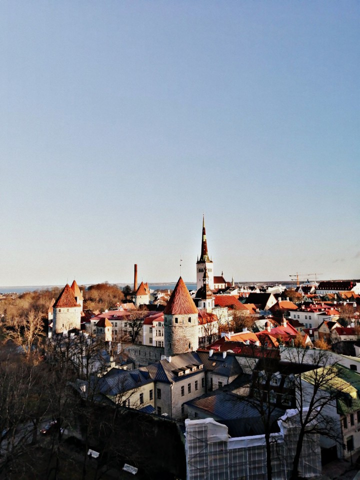 Tallin