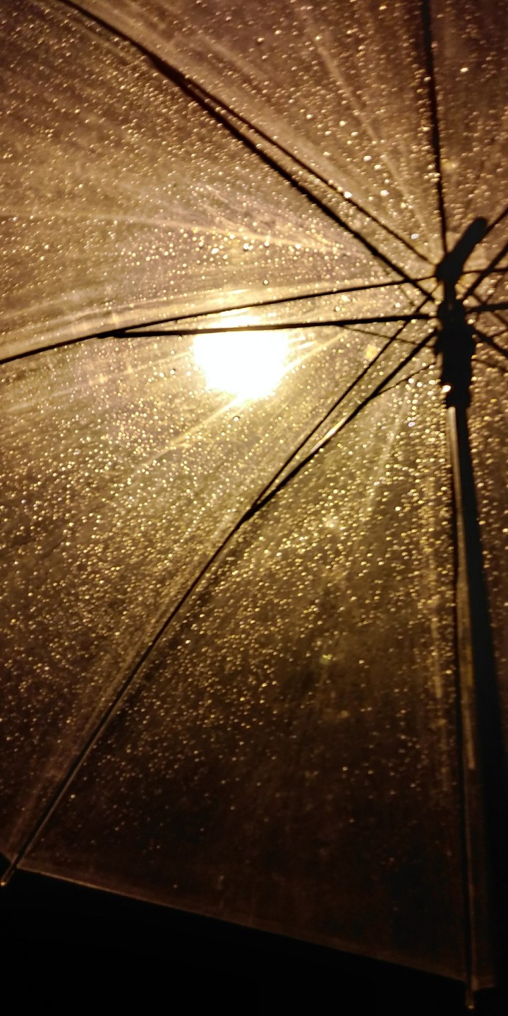 rain