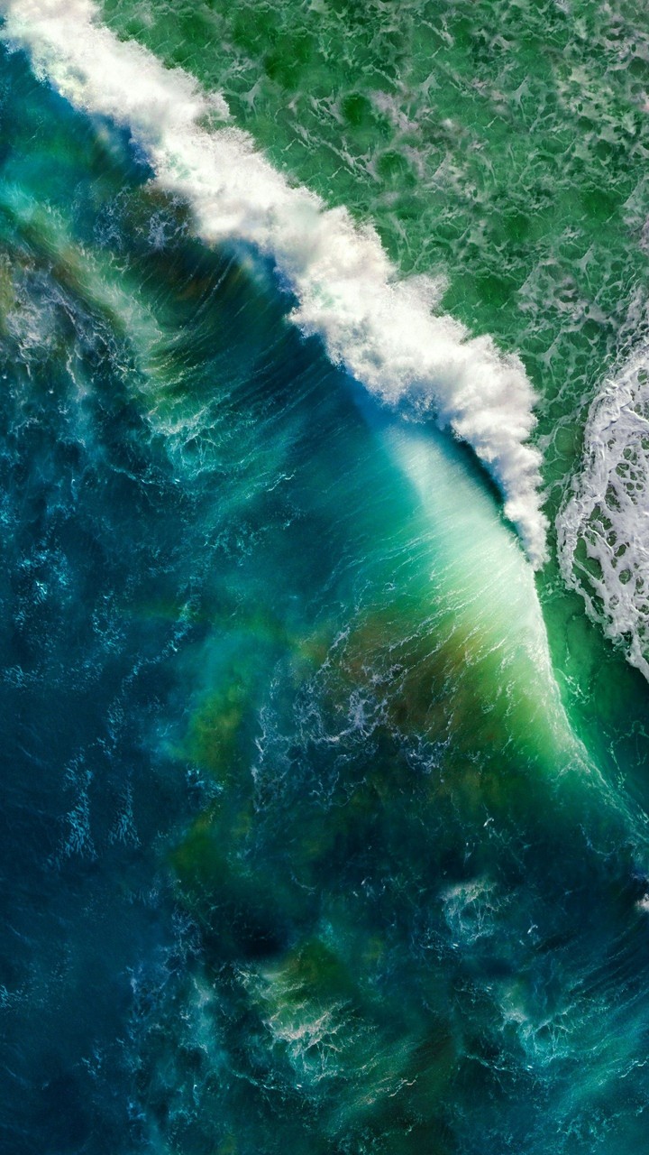 Sea