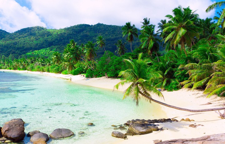 Enjoy Paradies