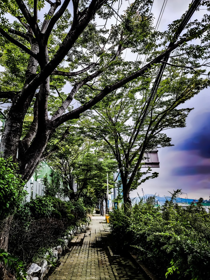 보행로