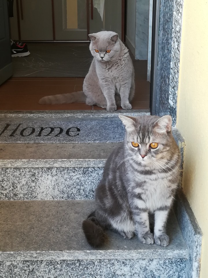 Molly e Arturo
