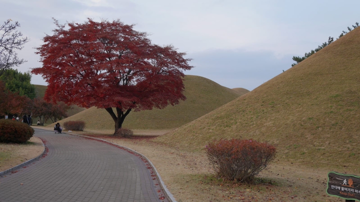 Japón en otoño