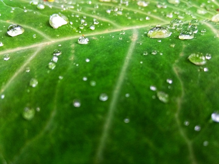 water droplets