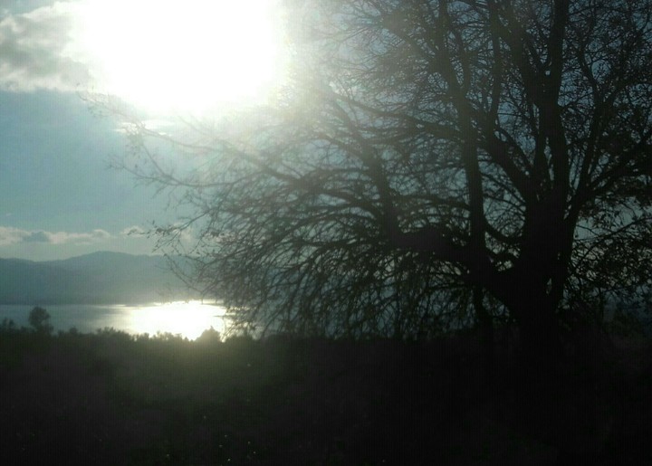 :)SUN