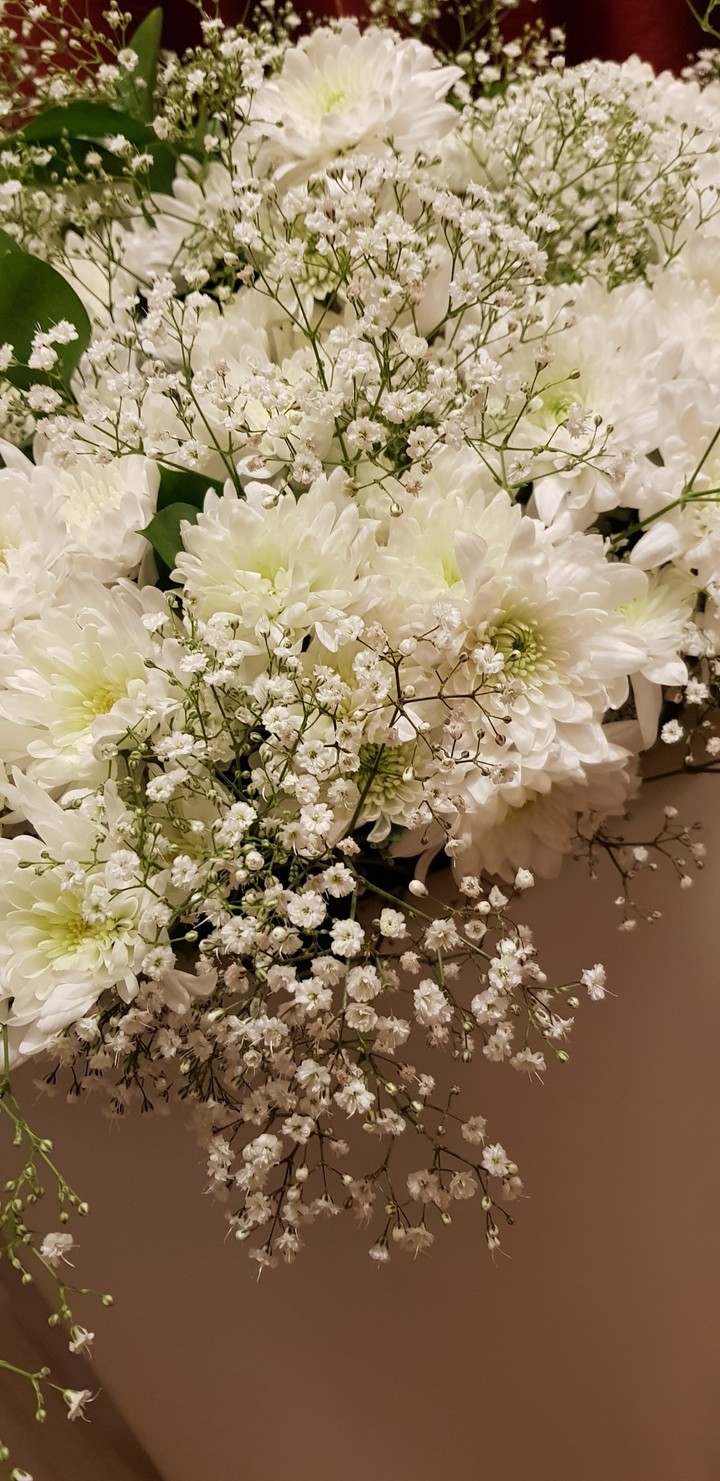 beauty of white