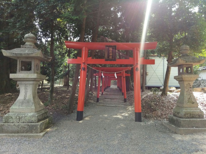 torii