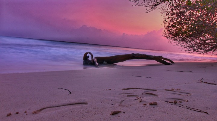 Maldives