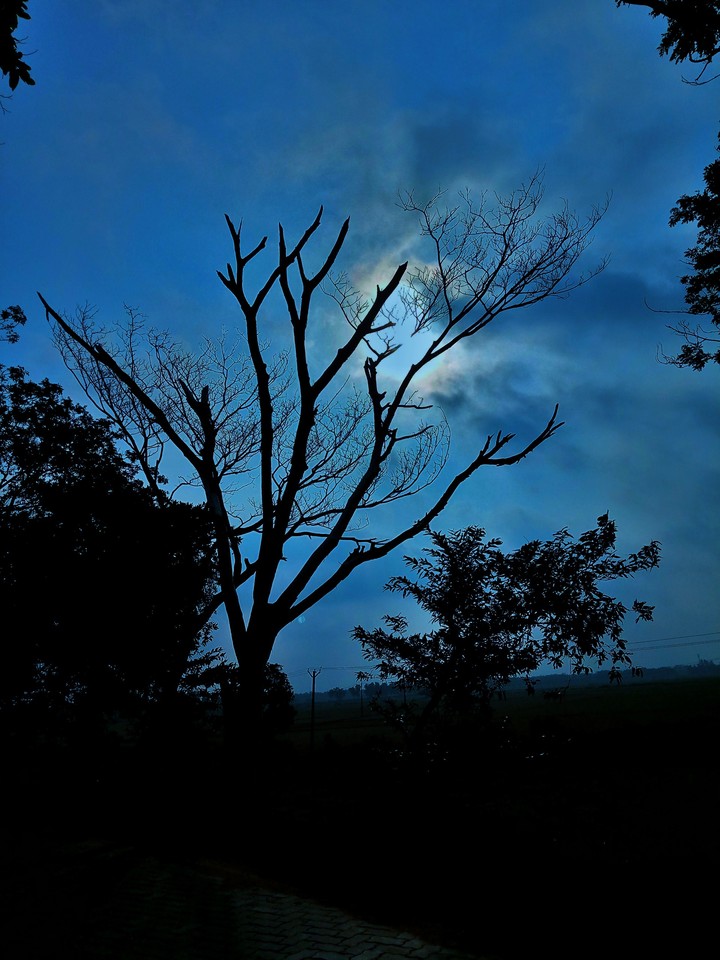 beauty of night