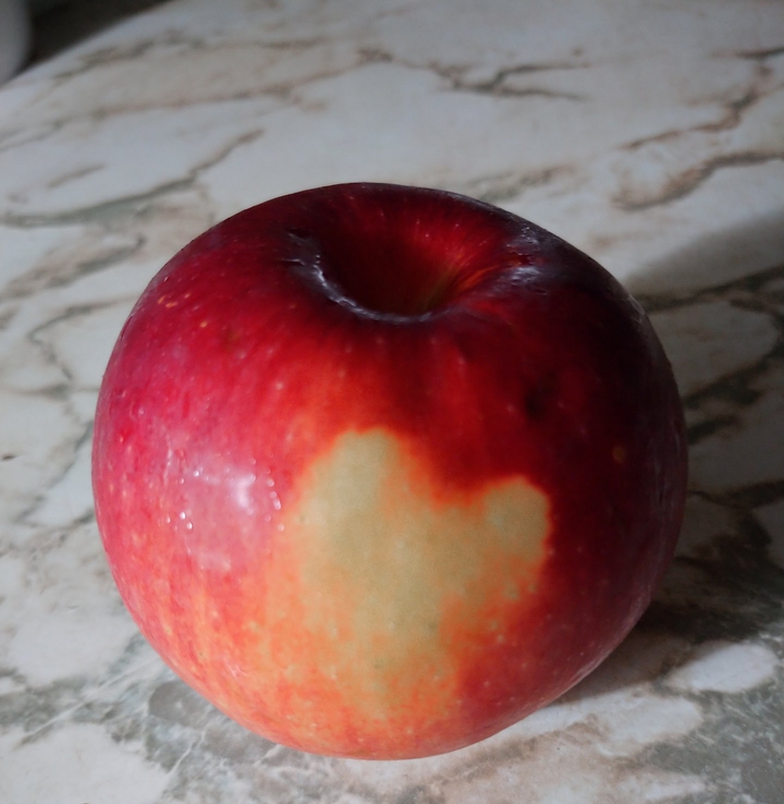Apple heart