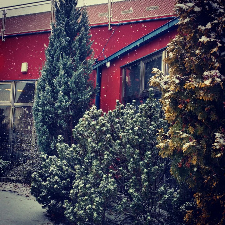 let it snow!