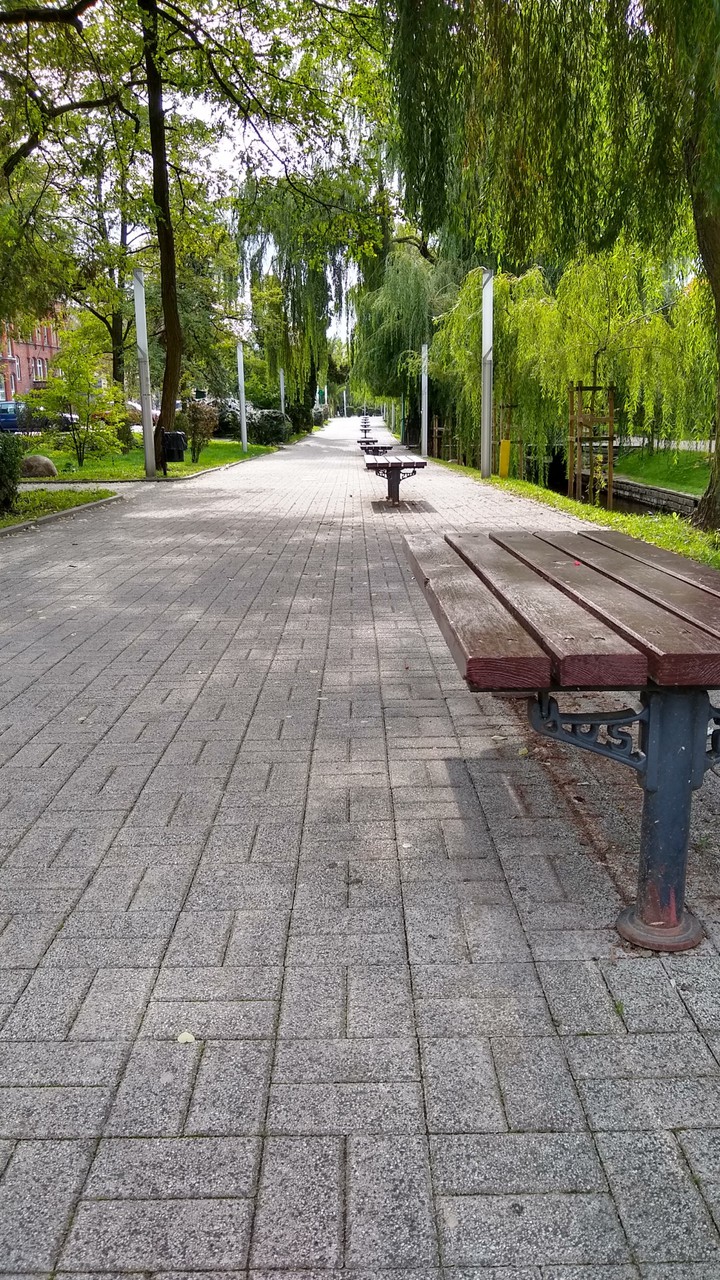 Szczecinek
