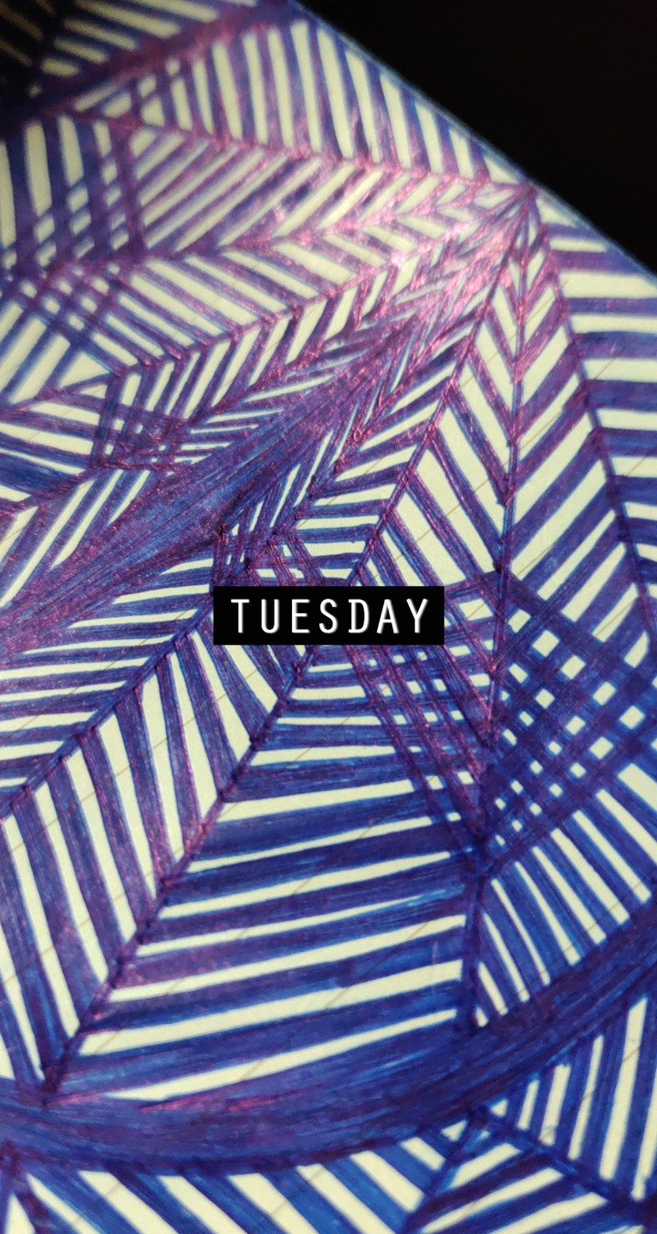 a Tuesday