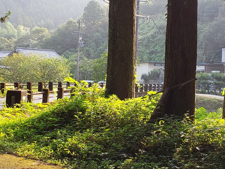 日本の山奥の朝