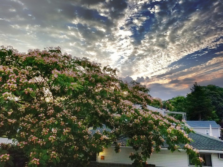 sunrise in the summer