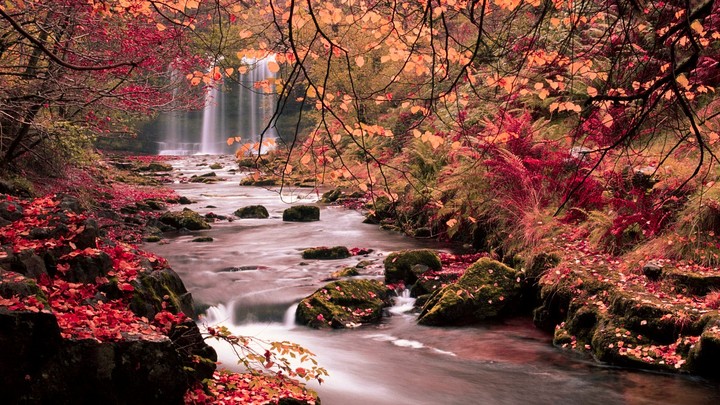 Nature