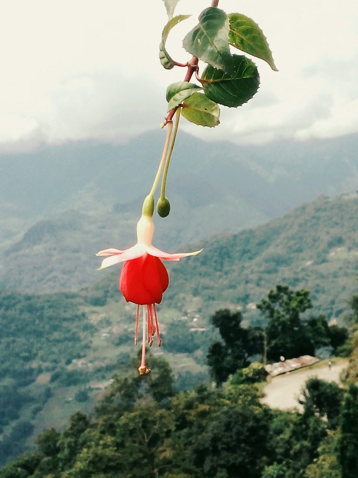 nature's beauty