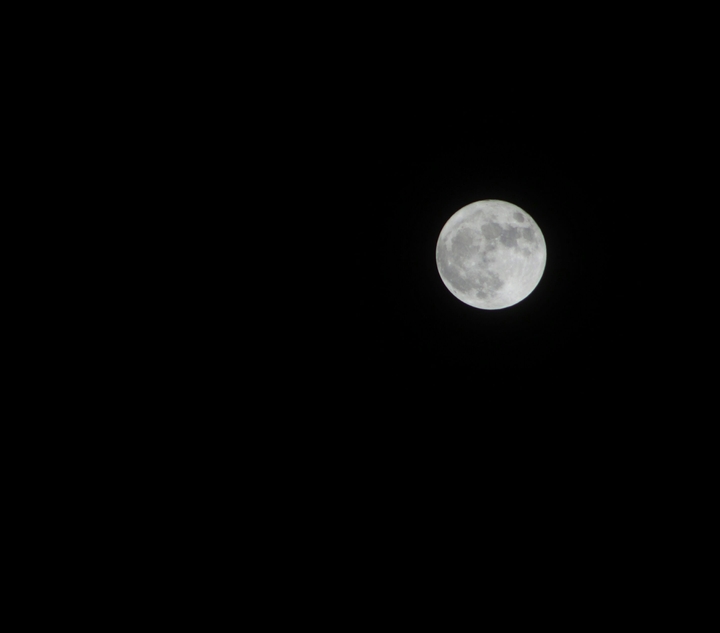 Moon