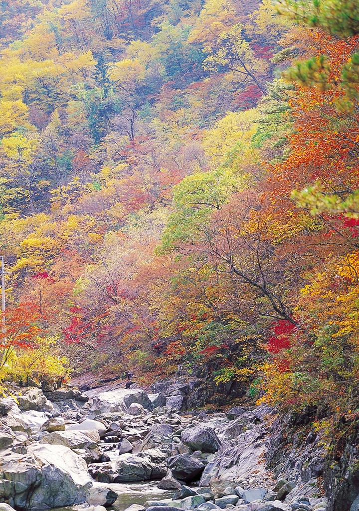 가을의전경
