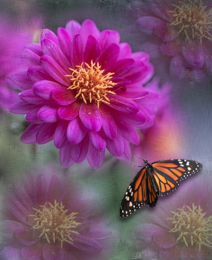flowers & butterfly...
