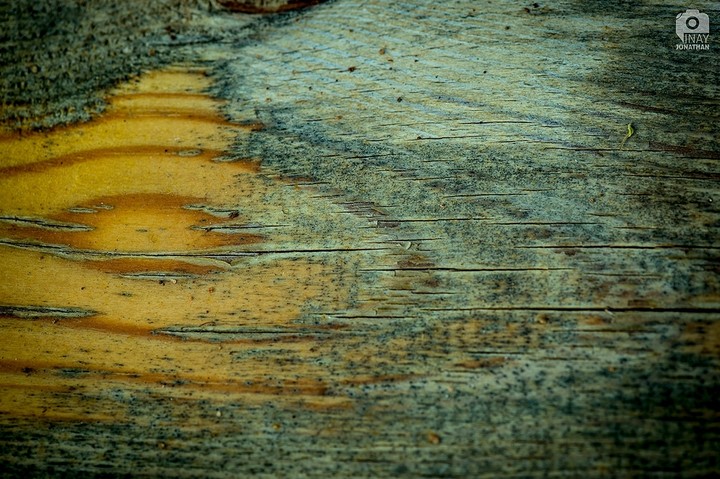 Nature Patterns