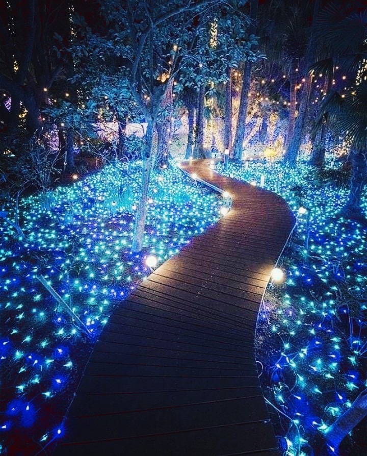 dreamy pathway