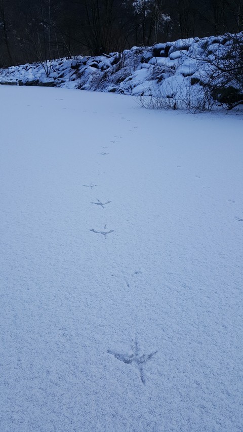 Walking softly