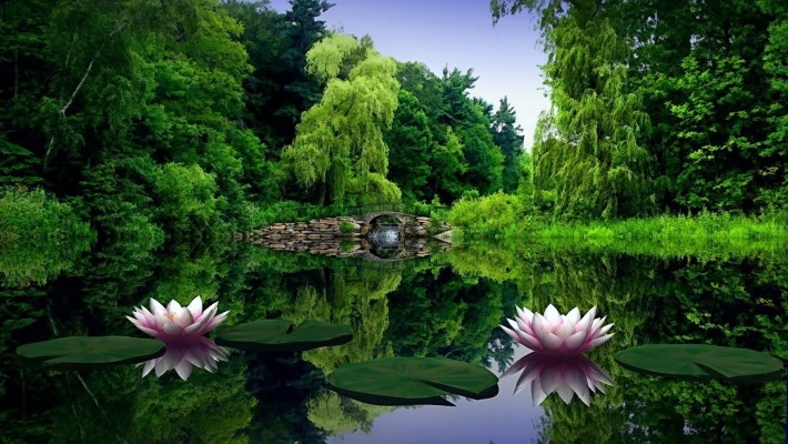 Flower pond