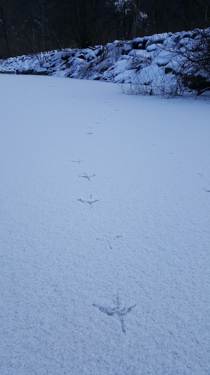 Walking softly
