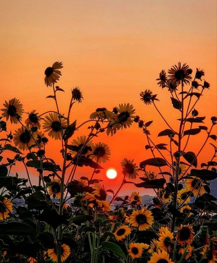 summer...