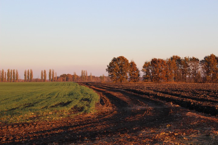 autumn