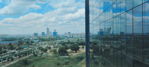 hình nền plant, window