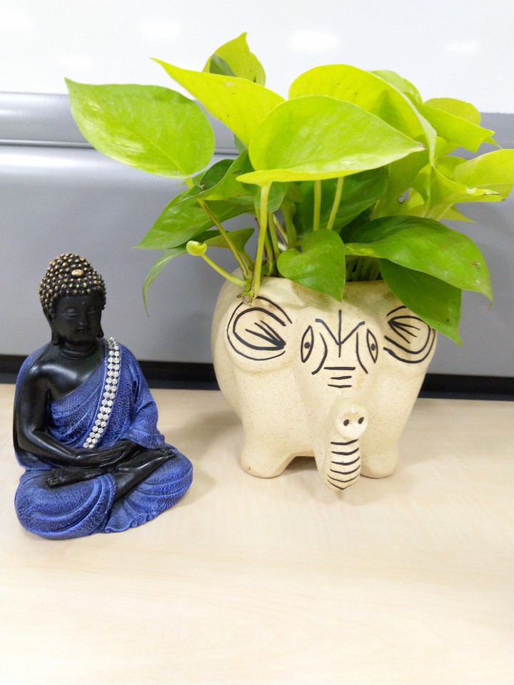Buddha!