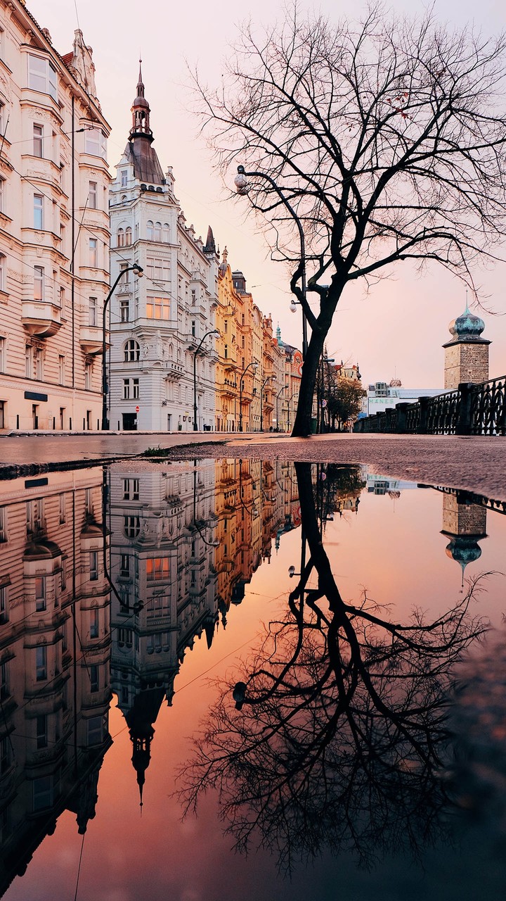 HD Wallpaper