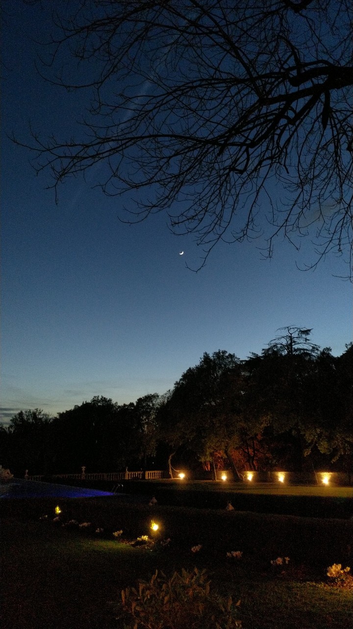 evening