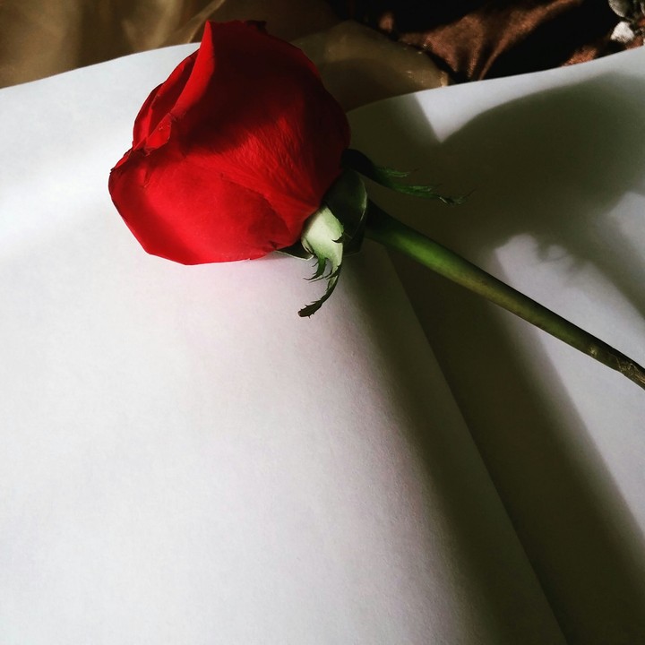 Blank Journal