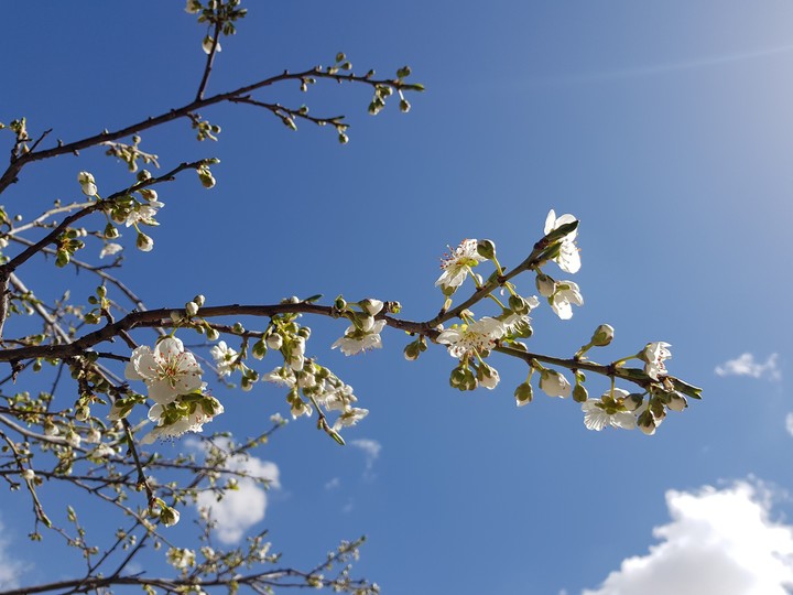 Spring