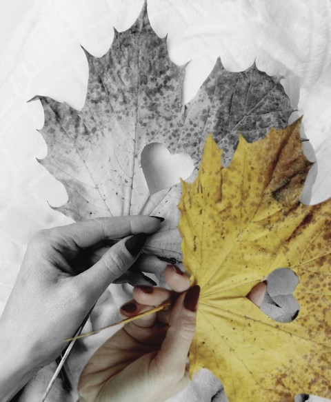 Paper, Paper_Product, Natural_material