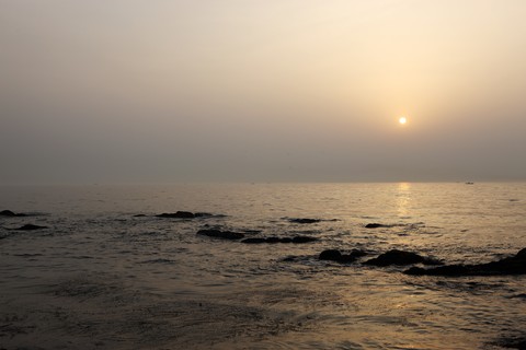 Scenics
