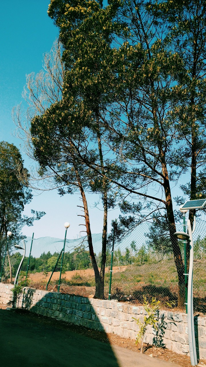 lets climb to the sky